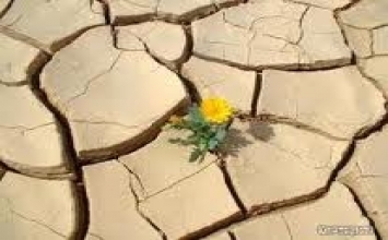Giá trị của nghịch cảnh